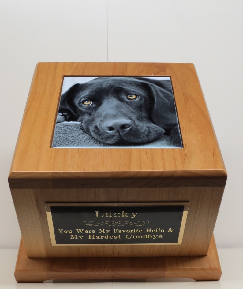 Peut inclure: Une urne fun&eacute;raire en bois avec une photo en noir et blanc d'un chien sur le dessus. L'urne a une plaque noire avec des lettres dor&eacute;es qui disent "Lucky You Were My Favorite Hello & My Hardest Goodbye".