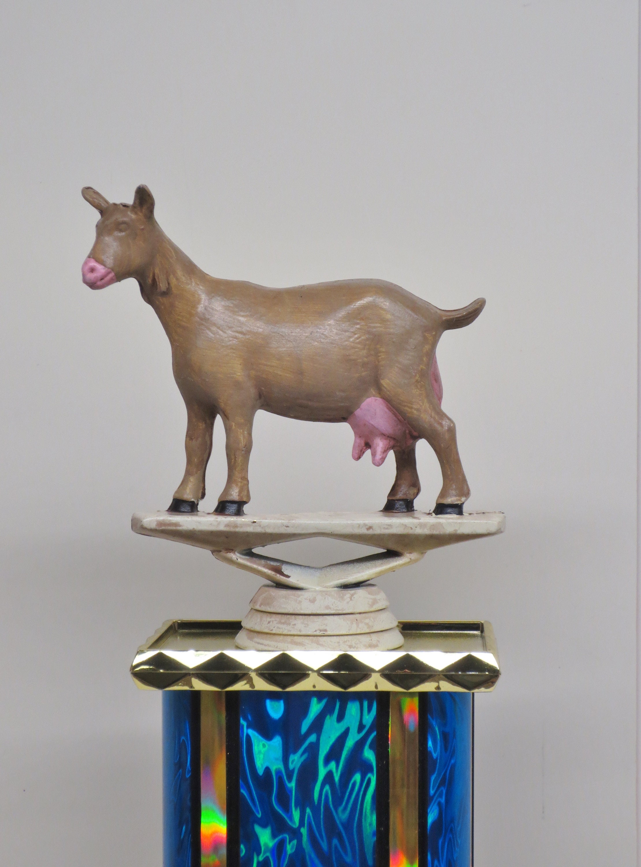 Fantasy Football Trophy Funny GOAT Greatest of All Time Award 