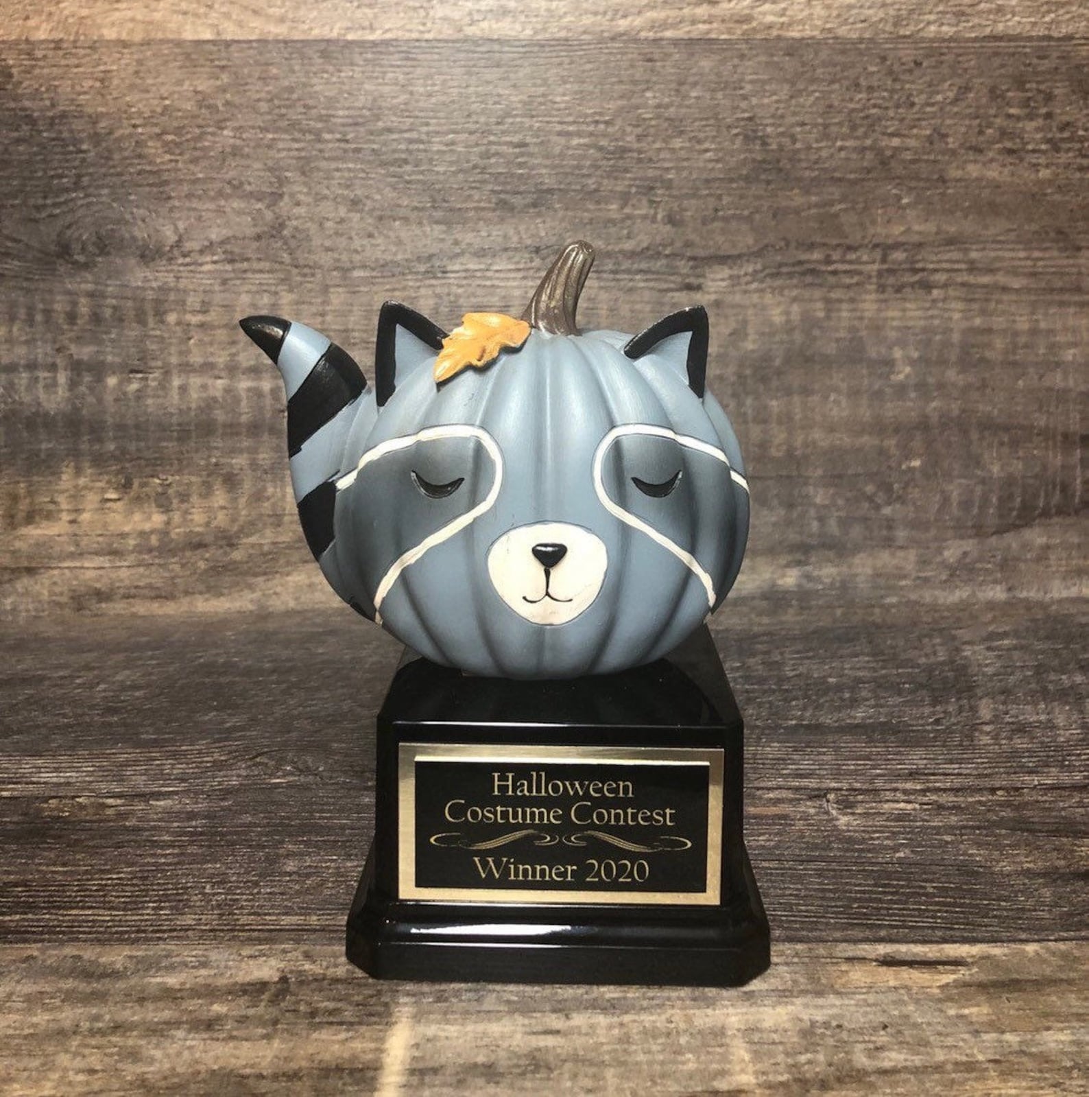Kids Halloween Trophy Halloween Cute Raccoon Pumpkin Carving Etsy