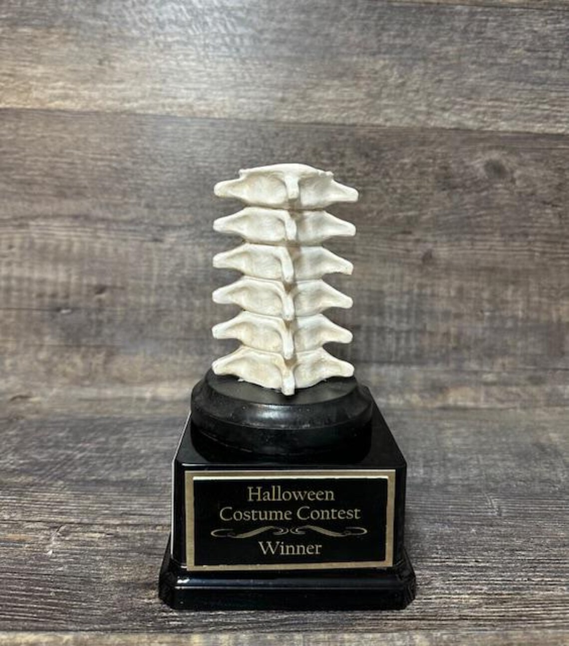 Funny Trophy Have A Backbone Spine Trophy You Finally Have A Back Bone ...