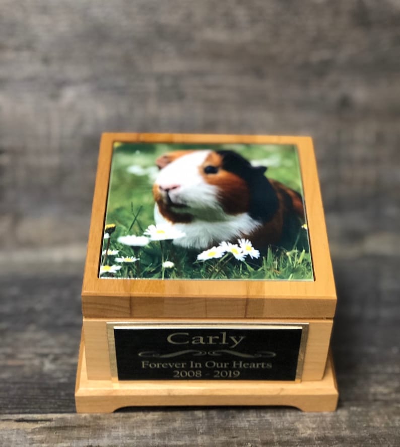 Guinea Pig Urn Small Animal Pet Urn Bunny Rabbit Urn Pet Memorial Keepsake Box Cremation Urn Custom Photo Tile Engraved Tag To 25lbs Pet Supplies Urns Memorials Jewellerymilad Com