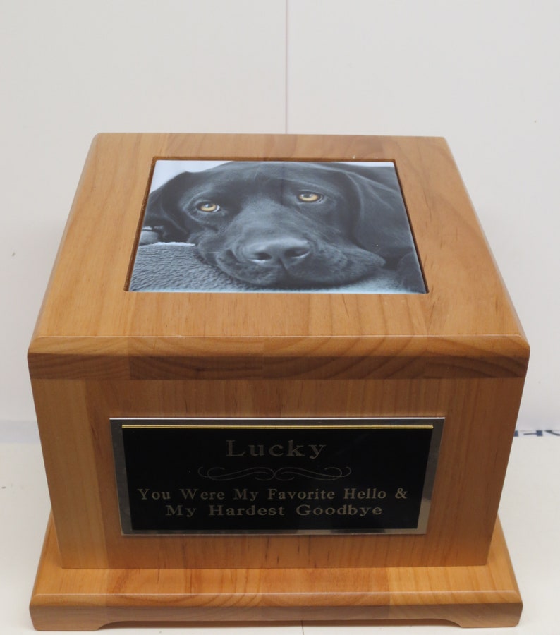Peut inclure: Urne fun&eacute;raire en bois avec une photo en noir et blanc d'un chien sur le dessus. L'urne a une plaque argent&eacute;e avec le texte "Lucky You Were My Favorite Hello & My Hardest Goodbye".