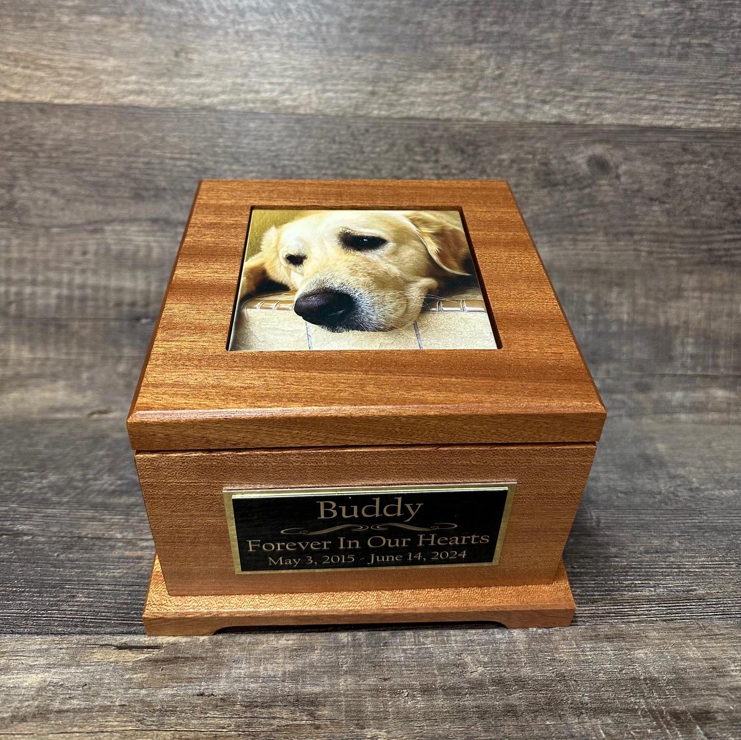 De allerbeste voeding voor een gezonde hond - kieswijzer hondenvoer, image size:1512x1511