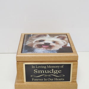 Puede incluir: Una urna de madera para mascotas con una foto de un Yorkshire Terrier en la parte superior. La urna tiene una placa de lat&oacute;n que dice "In Loving Memory of Smudge Forever In Our Hearts".