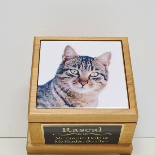 Urne chat pour les cendres, urne pour animal de compagnie, boîte souvenir pour animal de compagnie, urne funéraire pour chaton ou petit animal, carreau photo personnalisé et urne personnalisée en laiton pour chien