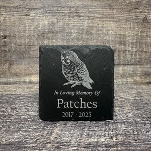 May include: Black slate memorial stone with a white engraved image of a budgie and the text "In Loving Memory Of Patches 2017 - 2025"
