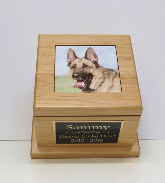 dog urn box