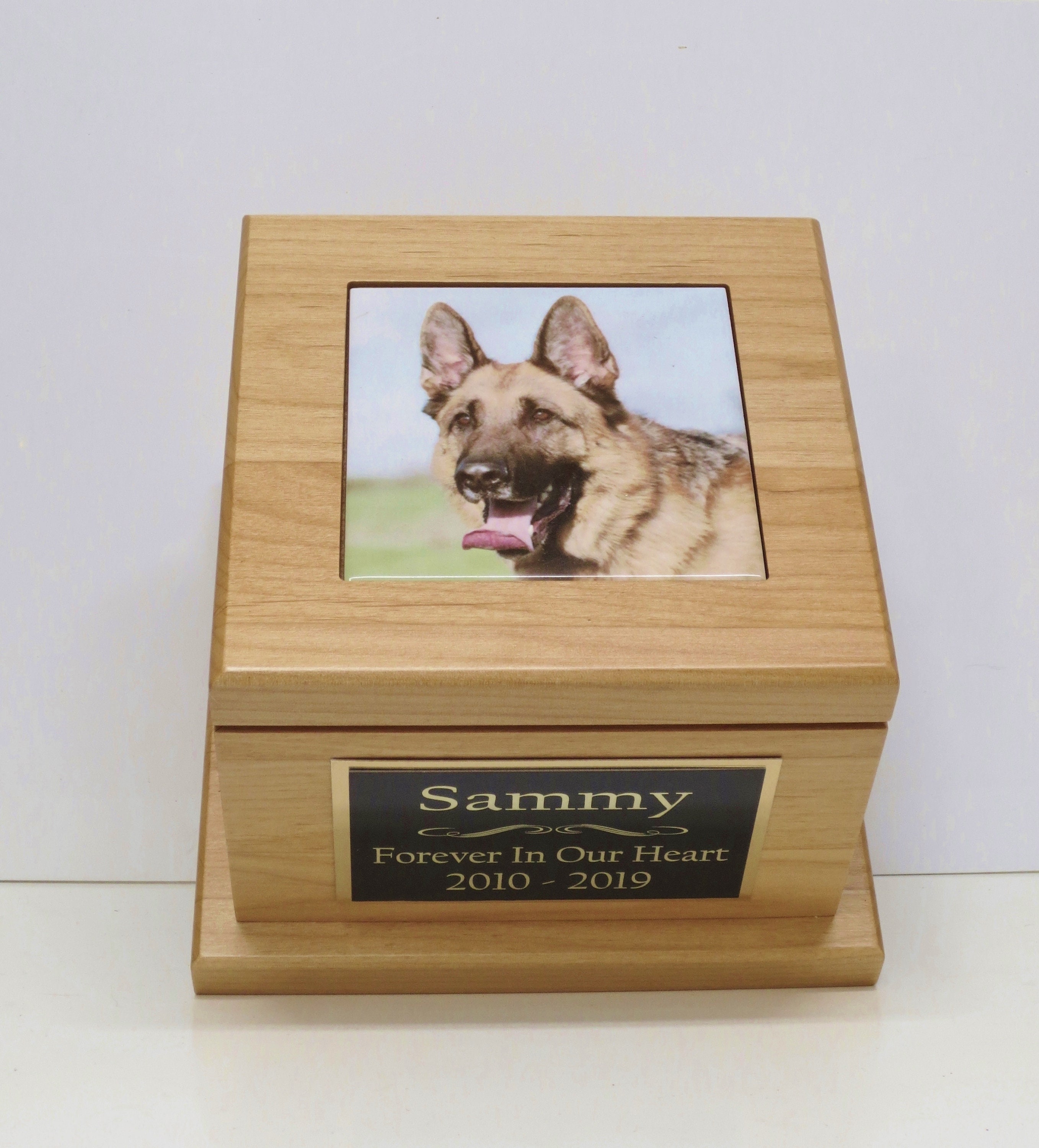 Where To Put Dogs Ashes