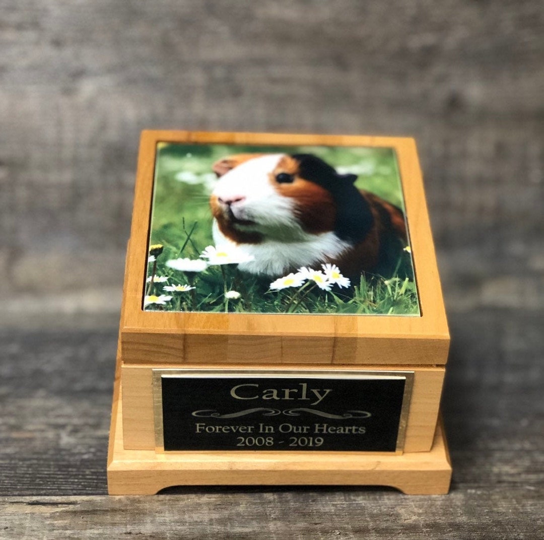 Guinea Pig Urn Small Animal Pet Urn Bunny Rabbit Urn Pet Memorial