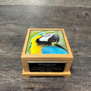 May include: A wooden pet urn featuring a macaw image on the lid. The urn has a black nameplate with the inscription "Wingnut Forever Loved & Missed 2010-2025". The urn is constructed from light-coloured wood.