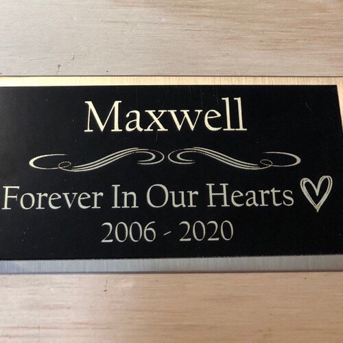Custom Engraved Name Plate for Dog Urn Cremation Cat Urn Pet Etsy