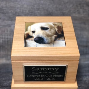 Può includere: Un'urna per animali domestici in legno con una foto di un golden retriever. L'urna ha una placca nera con il nome "Sammy" e l'iscrizione "Forever In Our Heart 2010 - 2019".