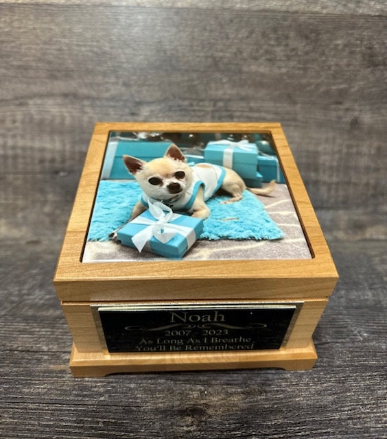 il_fullxfull.6004807750_9miv.jpg