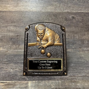 Pool Trophy Plaque Champion Pool Plaque Award Personalisierte Trophäe Lustige Trophäe Gag Geschenk Sommer Familie Spiel Camping Ausflug Trophy