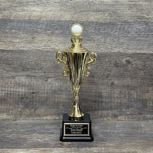 Golf Trophy Cup Tournament Trophy Hole In One Award Charity Event Winner Cup Under Par Guy&#39;s Weekend
