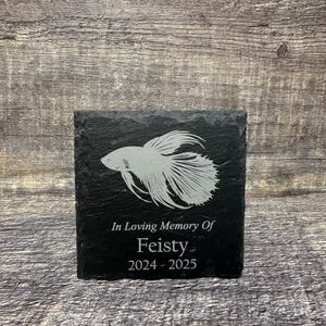 Puede incluir: Memorial de pizarra negra para mascotas con una silueta blanca de un pez betta. El texto dice "In Loving Memory Of Feisty 2024 - 2025".