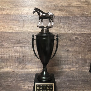 Trofeo del cavallo Coppa equestre Premio Best in Show per cavalli Coppa Derby Coppa nera iridescente con cavallo Appaloosa Equitazione Equitazione a cavallo