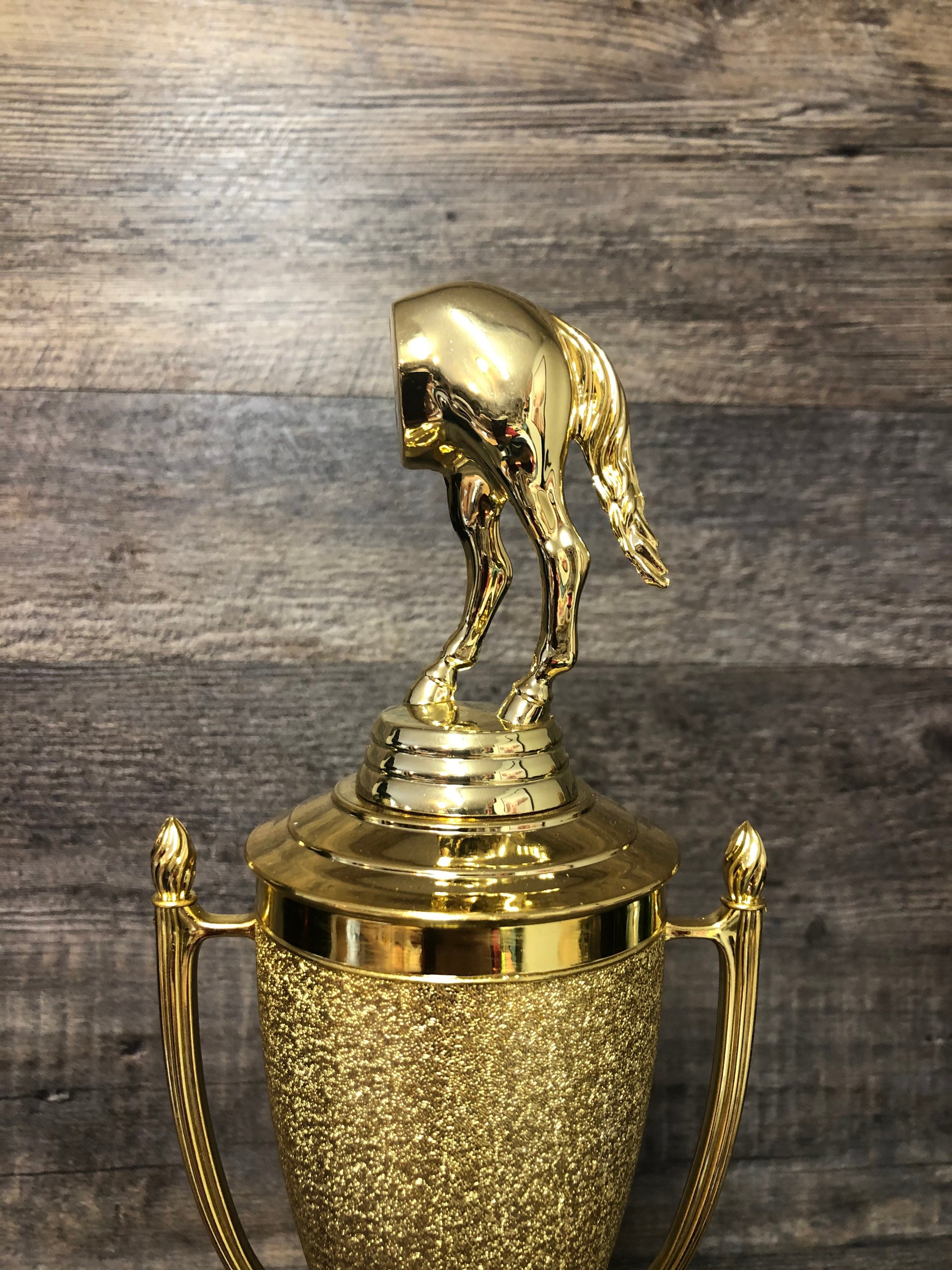 Blauwe Trofee met 13 cm figuur - A1016B (op=op) - Van Zanden Sportprijzen