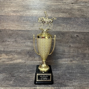 Trofeo cavallo Coppa equestre Premio Best in Show del cavallo Derby Cup Trofeo cutting Equitazione equestre