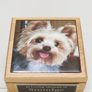 Puede incluir: Una urna de madera para mascotas con un inserto de foto de cer&aacute;mica de un perro peque&ntilde;o, blanco y marr&oacute;n con la lengua afuera. La urna tiene una placa dorada con el texto "En memoria cari&ntilde;osa de Smudge Por siempre en nuestros corazones".