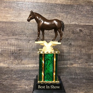 Trofeo equestre personalizzato per cavalli, premio Best In Show, trofeo Derby Cup, equitazione, cavallo dipinto a mano