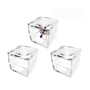 Pack of 3 Magnifier Box Bug Viewer Magnifies up to 5X(500%)