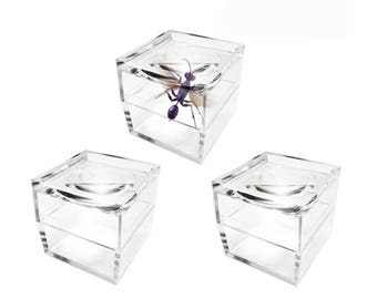 Pack of 3 Magnifier Box Bug Viewer Magnifies up to 5X(500%)