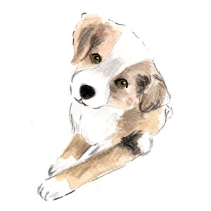 Custom pet portrait,Personalised Dog and Pet owner gift,dog painting,personalized pet gift,dog owner gift for him,Cute puppy portrait