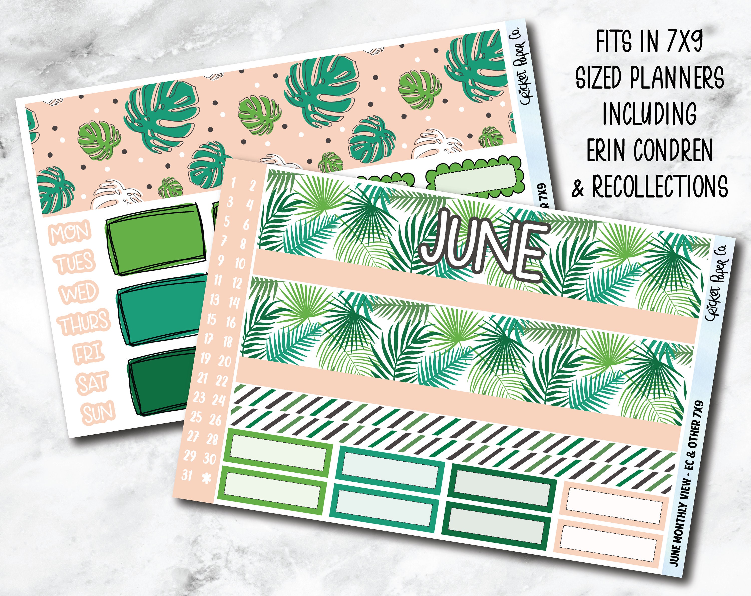 MONTHLY Planner Sticker Kit for Erin Condren and Recollections - Etsy