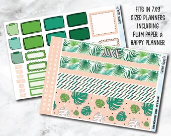 MONTHLY Planner Sticker Kit for Plum Paper and Classic Happy Planners - June Palms