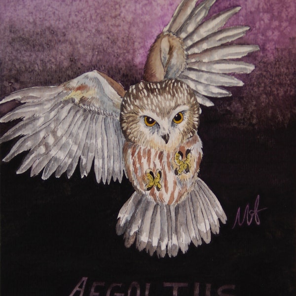 Saw-whet Owl Original Watercolor Painting