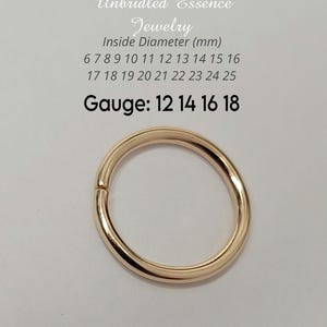 Gauge 12 14 16 18 Conch Piercing Rook Tragus Hex Septum Ring Cartilage Lip Ring 14k Yellow Gold Filled. UNBRIDLED ESSENCE JEWELRY.