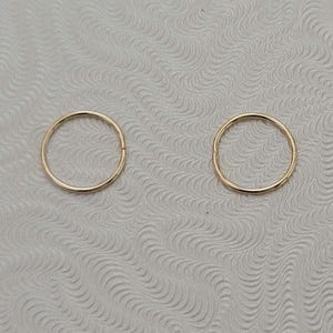 Snug Cartilage earrings 24 Gauge 14k Yellow Gold Fill .925 Sterling Silver Nose Hoop Ring Tragu Helix Rook Unbridled Essence Jewelry