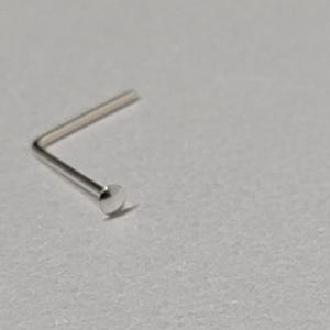 May include: A silver nose ring with a small, round stud at the end.