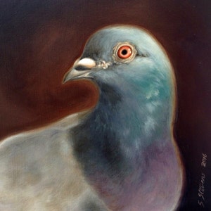 Origineel gesigneerd olieverfschilderij op MDF, "The Rock Dove 2" In The Old Dutch Masters Style