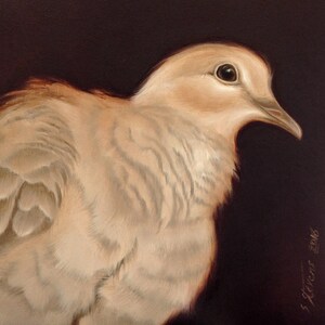 Origineel gesigneerd olieverfschilderij op MDF, "Unrequited Love" Collared Dove