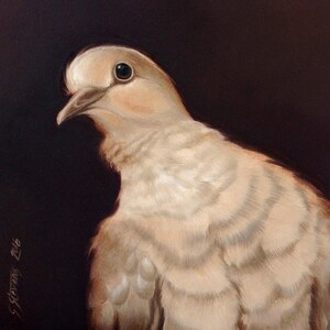 Origineel gesigneerd olieverfschilderij op MDF, "Unconditional Love" Collared Dove