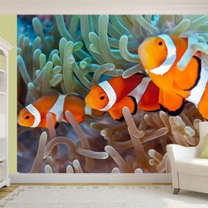 Different animals collage photo Wallpaper wall mural 15803964