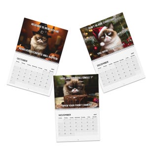 Grumpy Cats Calendar 2027 | Funny Cat Wall & Planner | Sarcastic Cat Lover Gift | Angry Cats image 7
