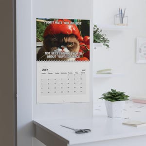 May include: A wall calendar for July 2027 featuring a photograph of a brown cat wearing a red tomato as a hat. The text reads: I DON'T HATE YOU, IM JUST NOT NECESSARILY EXCITED ABOUT YOUR EXISTENCE. The calendar grid shows the days of the month.