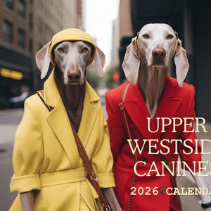 May include: A calendar cover featuring two Weimaraner dogs dressed in human clothing. One dog wears a yellow coat and hat, the other a red coat. The text reads "UPPER WESTSIDE CANINES 2026 CALENDAR."