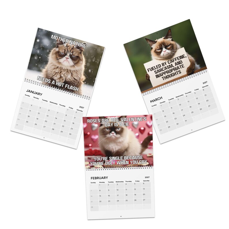 May include: Three wall calendars for 2027 featuring Grumpy Cat. One shows January with the text Mother Nature Needs A Hot Flash, one shows February with Roses Are Red, Valentine's Day Is A Lie, You're Single Because You're Ugly When You Cry.