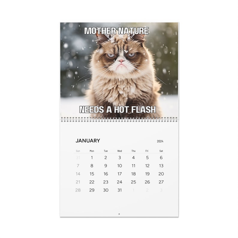 Grumpy Cat Funny Meme Calendar 2024 Pissed off Cats Funny Etsy