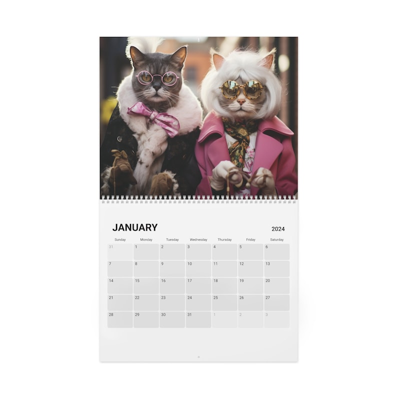 grumpy-cat-2024-fashion-calendar-pissed-off-cats-cat-calendar-2024-monthly-calendar-wall