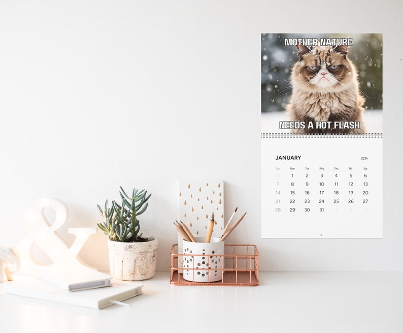 Grumpy Cat Funny Meme Calendar 2024 Pissed off Cats Funny Etsy