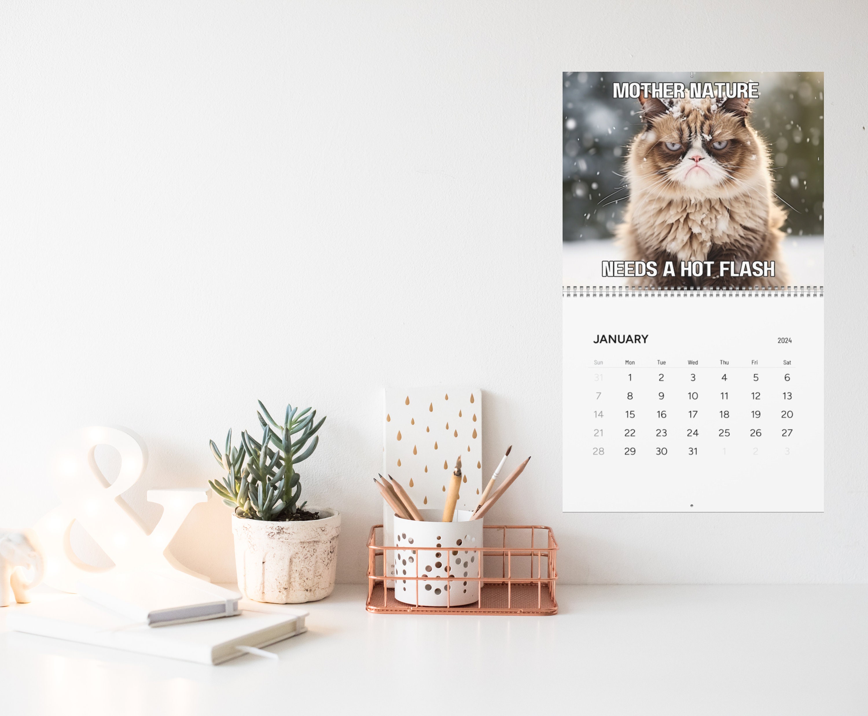 Grumpy Cat Meme Calendar 2024 Pissed off Cats Funny Calendar 2024 Cat  Calendar 2024 Wall Calendar - Etsy