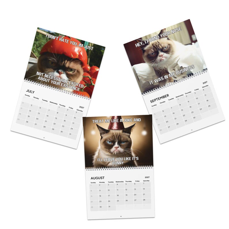 Grumpy Cats Calendar 2027 | Funny Cat Wall & Planner | Sarcastic Cat Lover Gift | Angry Cats image 6
