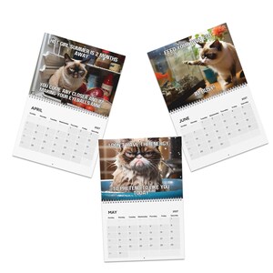 May include: Three wall calendar pages for April, May, and June 2027 featuring grumpy cat photographs with text overlays. April shows a cat in a fridge with text, May shows a wet cat with text, and June shows a cat near a fish tank with text.