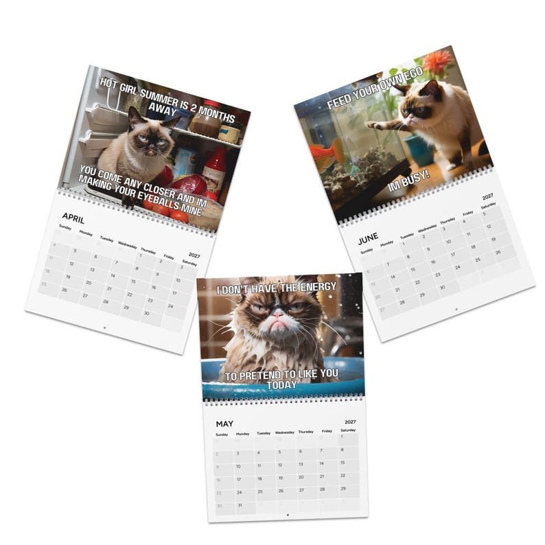 May include: Three wall calendar pages for April, May, and June 2027 featuring grumpy cat photographs with text overlays. April shows a cat in a fridge with text, May shows a wet cat with text, and June shows a cat near a fish tank with text.