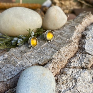 amber stud earrings